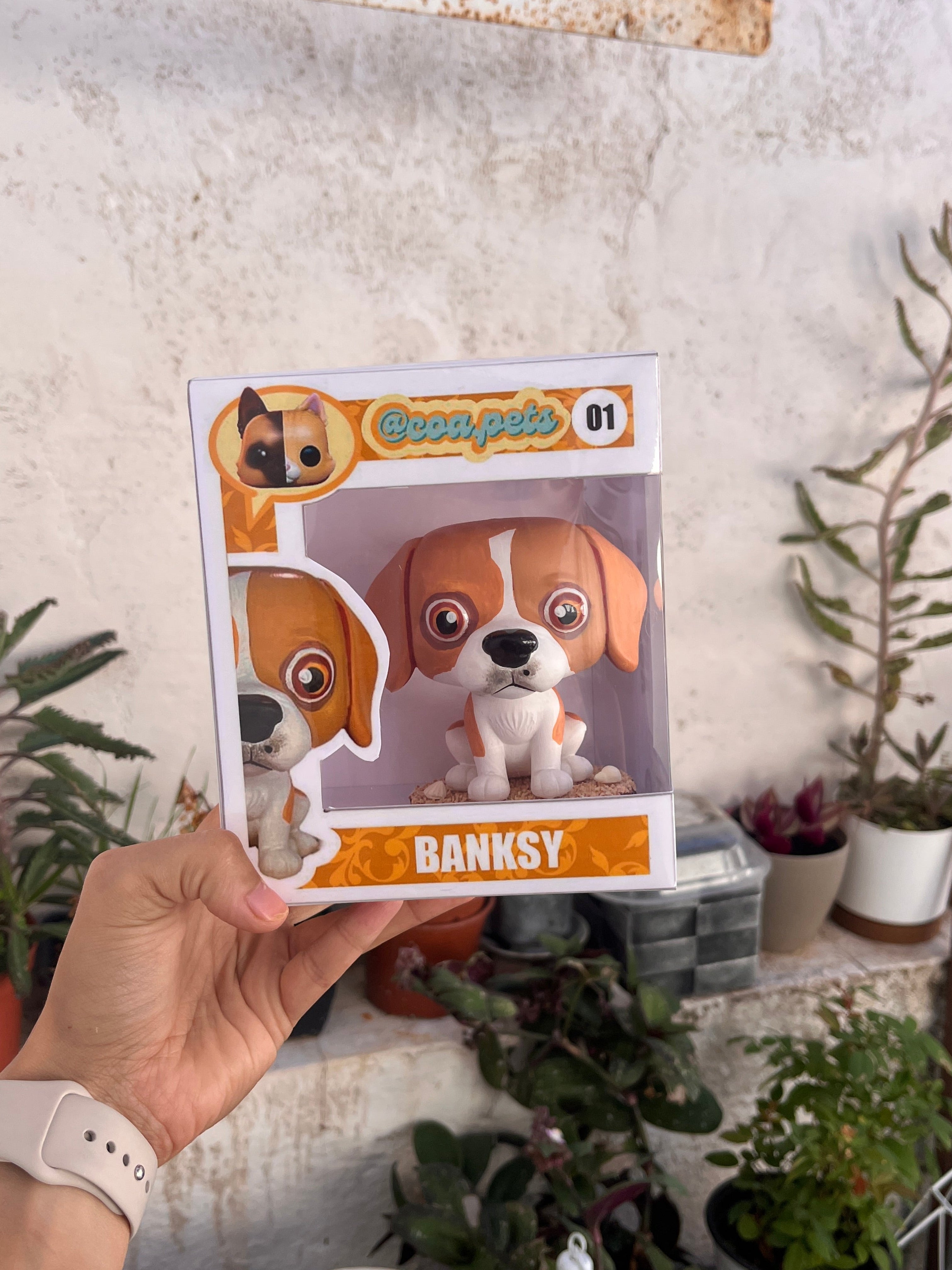 Beagle - cabezón