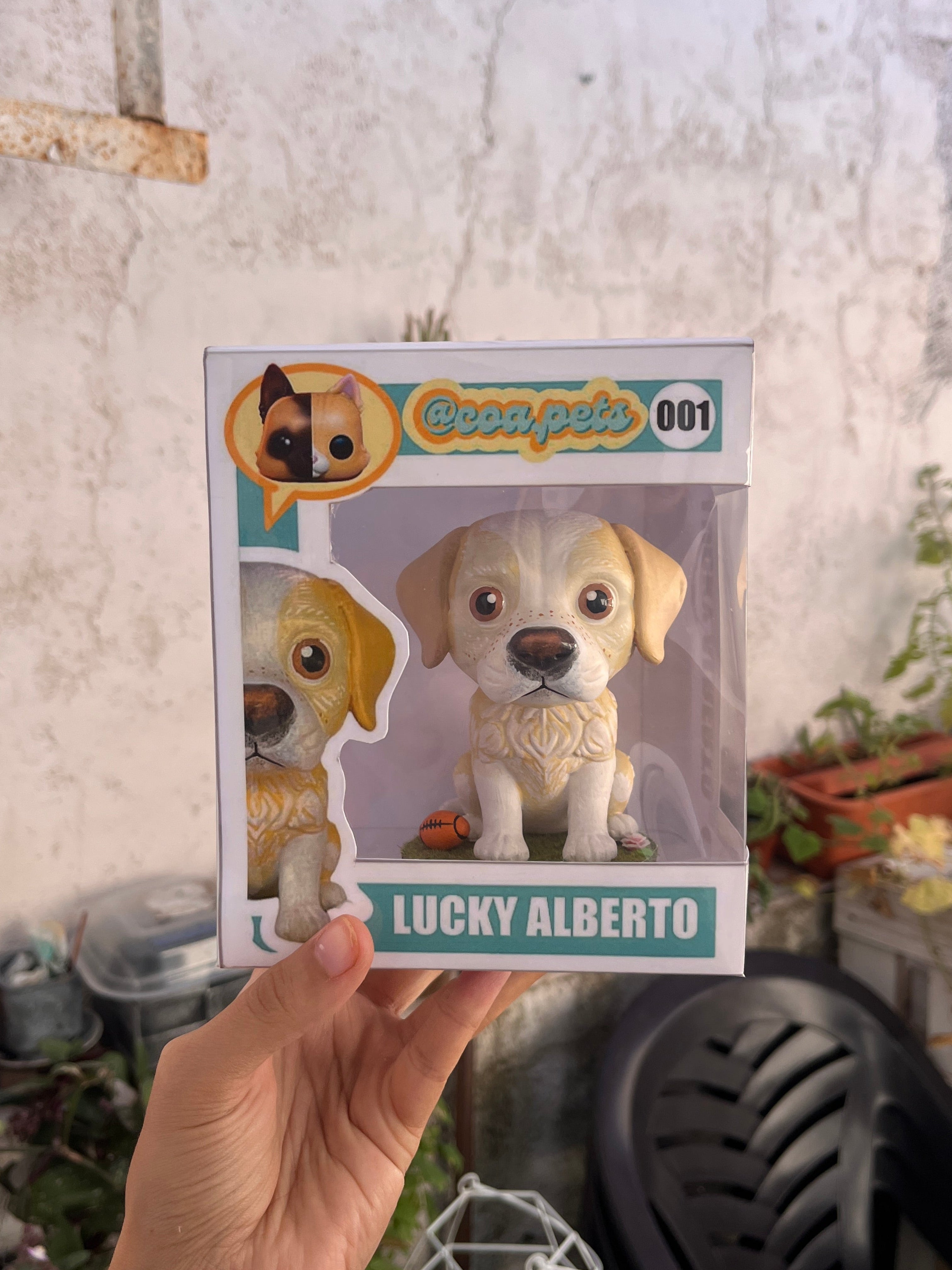Caja Coleccionista Personalizada – El acabado Premium para tu figura