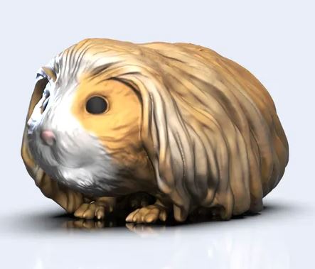 Figura personalizada de mascota : Cobaya peluda