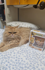 Figura personalizada de mascota : Gato Persa estilo cabezón