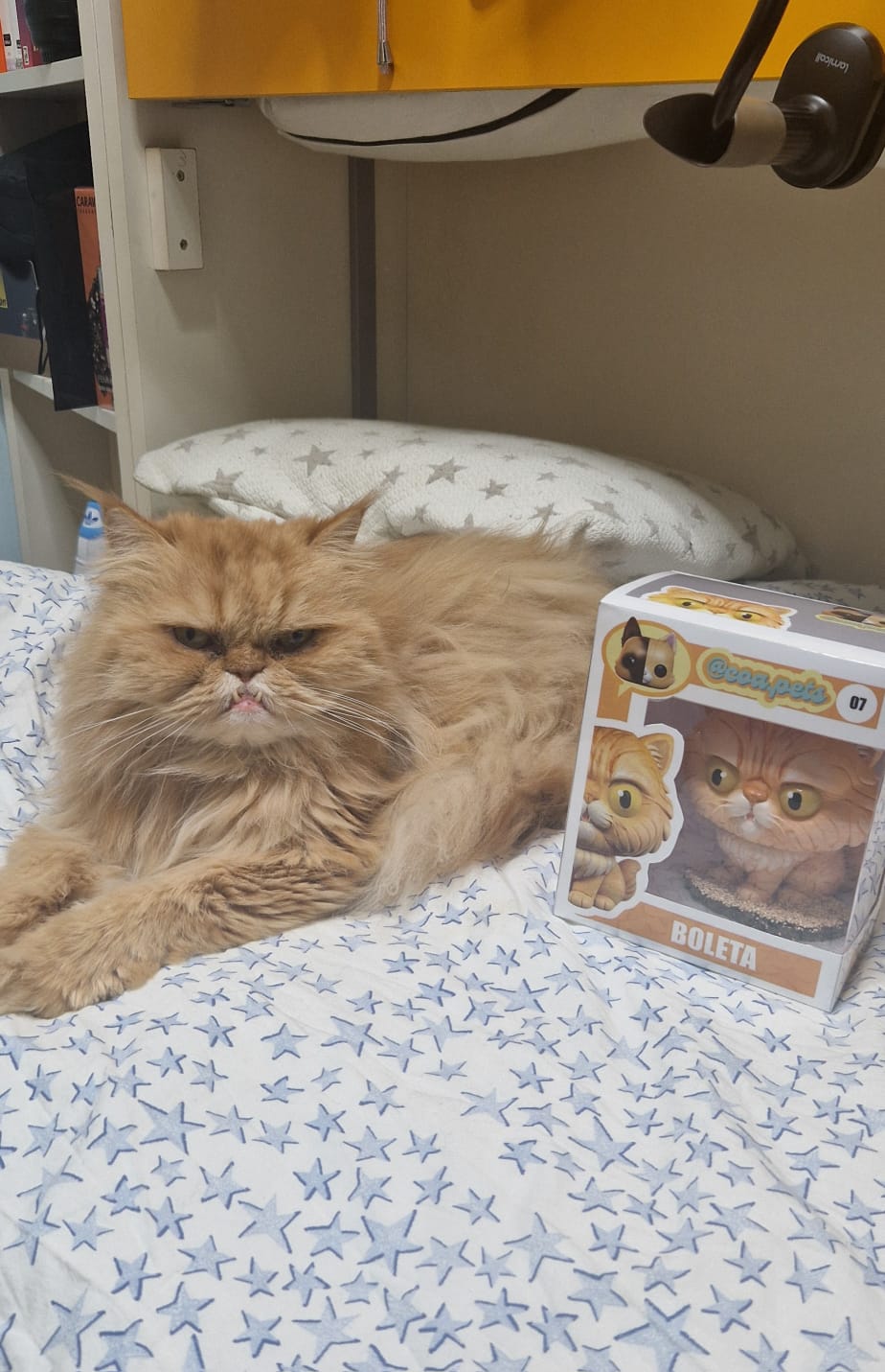 Figura personalizada de mascota : Gato Persa estilo cabezón