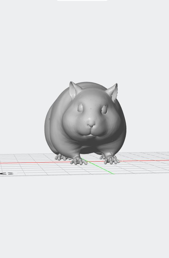 Figura personalizada de mascota : Cobaya sin pelo