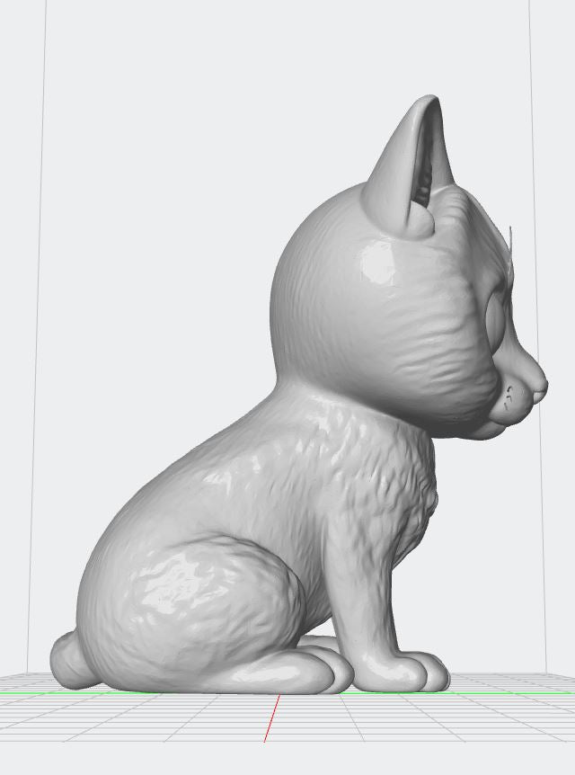 Gato Común Pelo Corto - Toy