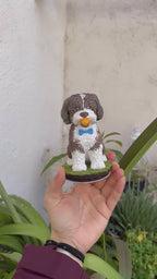 Figura personalizada de mascota : PERRO DE AGUA estilo toy