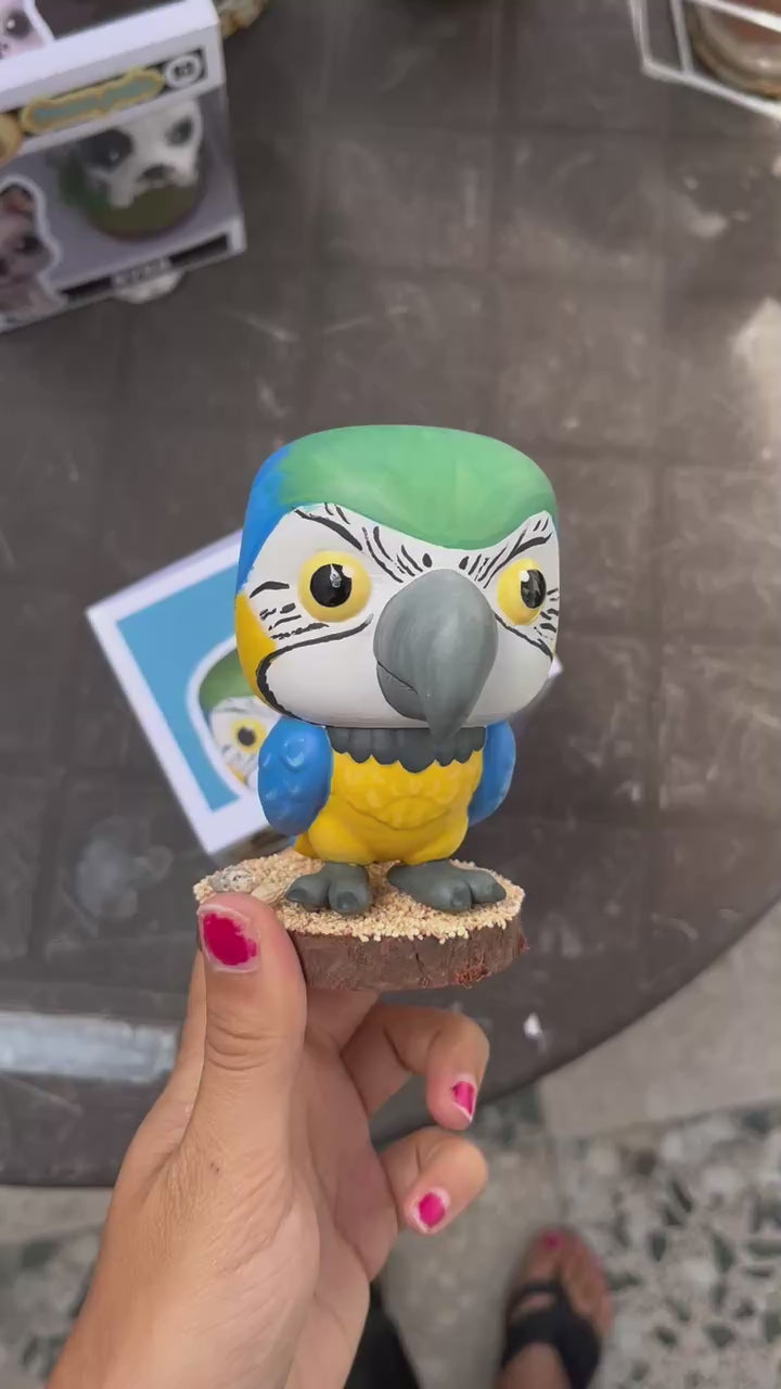 Guacamayo - Cabezón