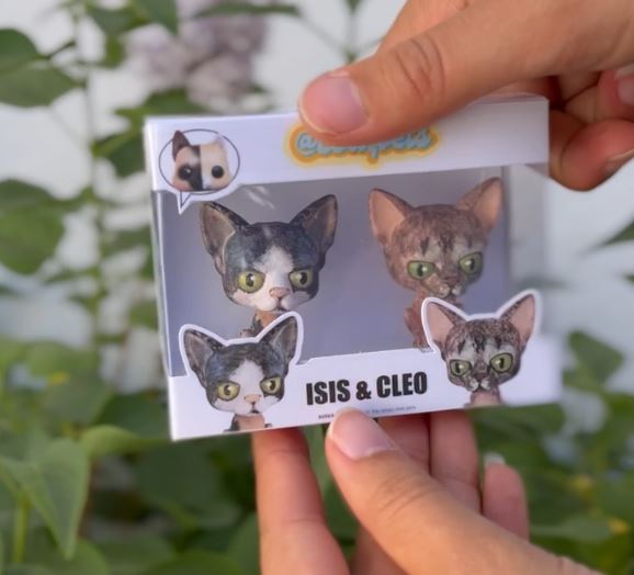 Caja Coleccionista Doble Personalizada – El acabado Premium para tu figura - Tamaño Mediano