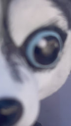 Husky - Toy