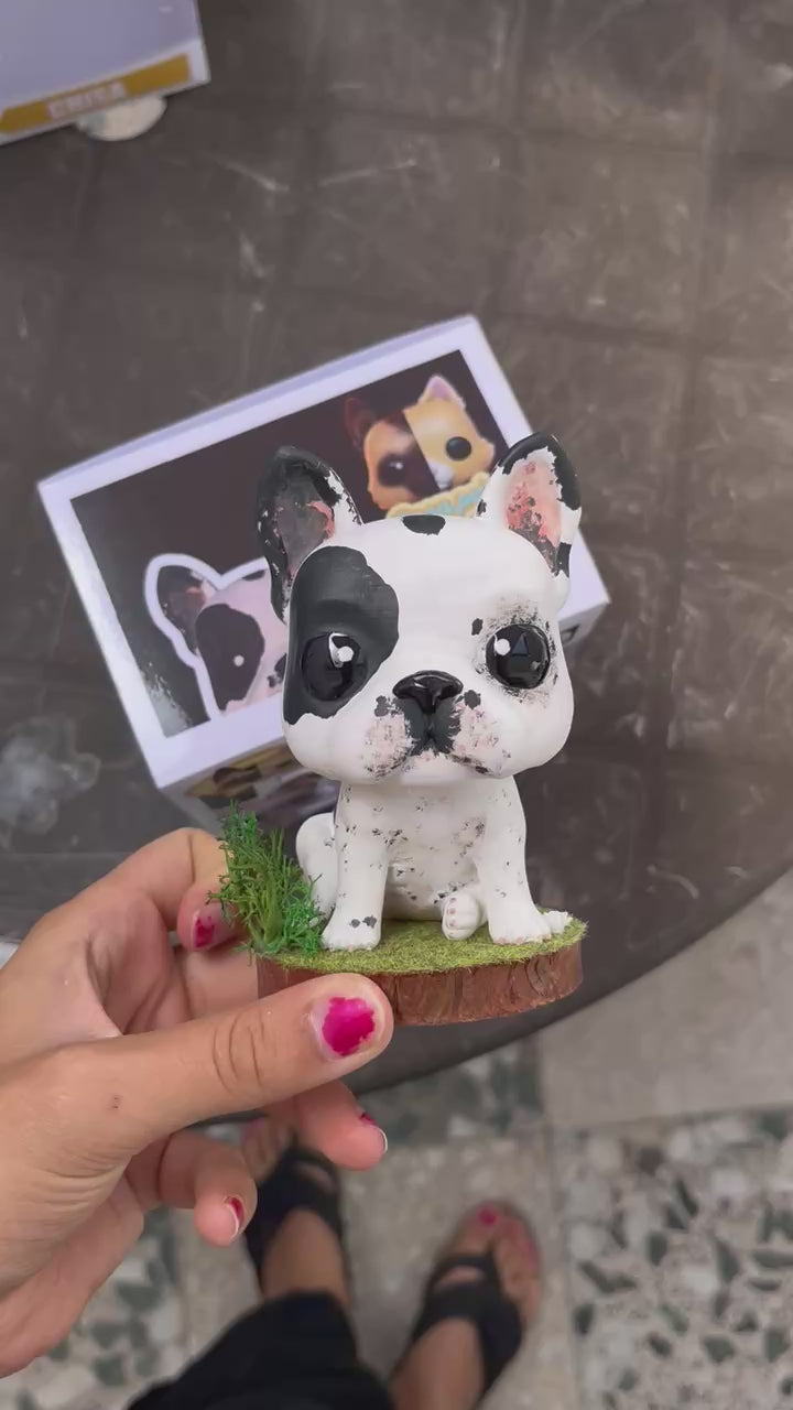 Boston Terrier - Cabezón
