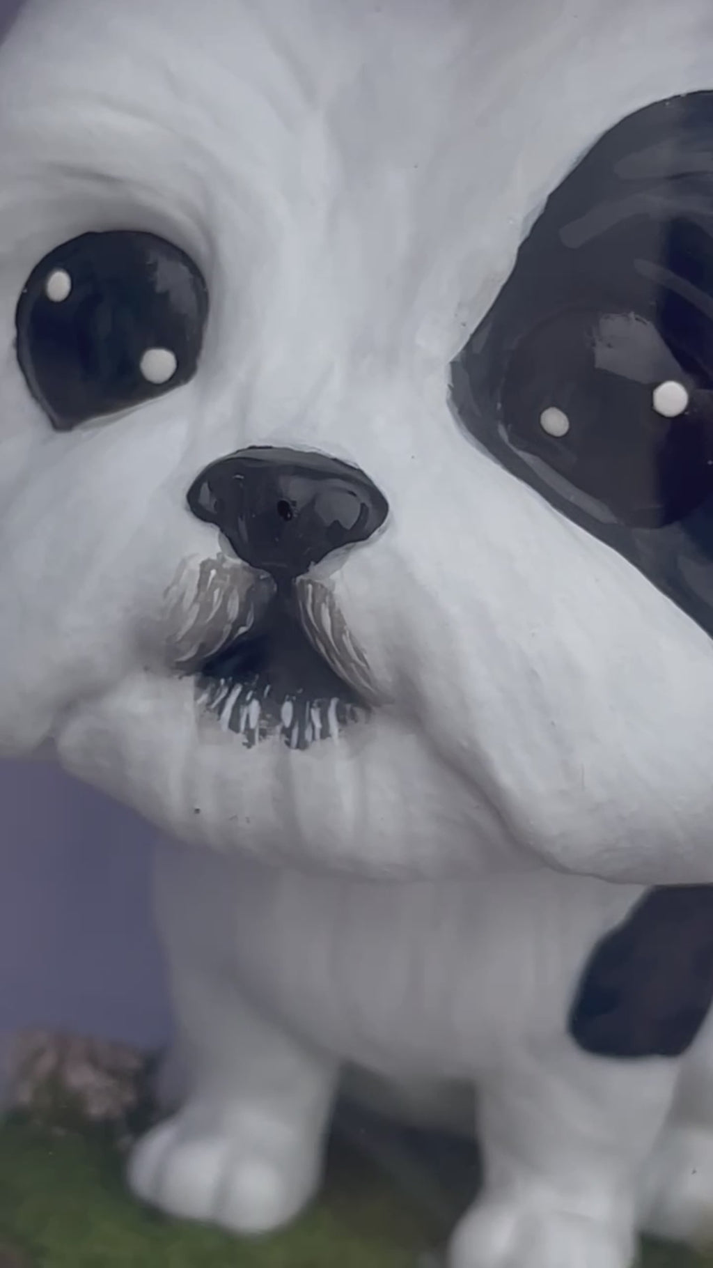 Shih Tzu - cabezón