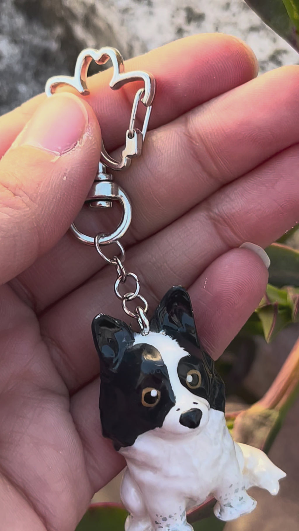 Border Collie - orejas en punta estilo toy